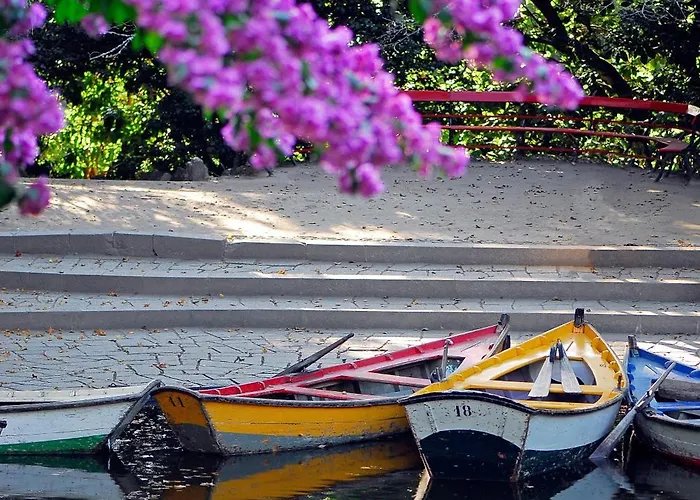 拉戈酒店 酒店 3*